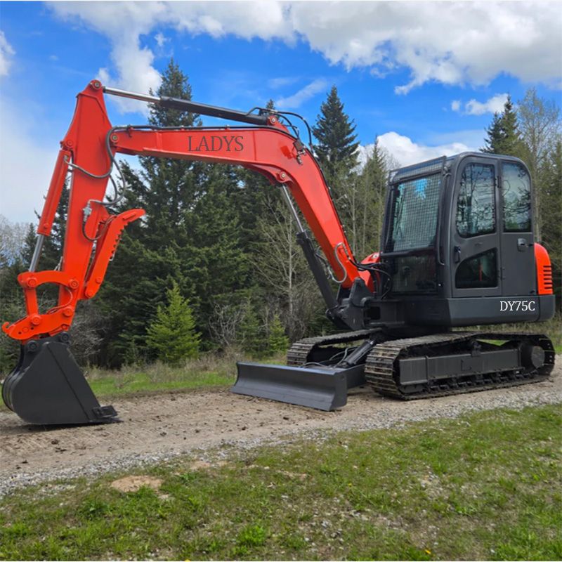 LADYS DY75C Small Excavator Euro 5/EPA/CE Yanmar Engine Small Excavator For Sale