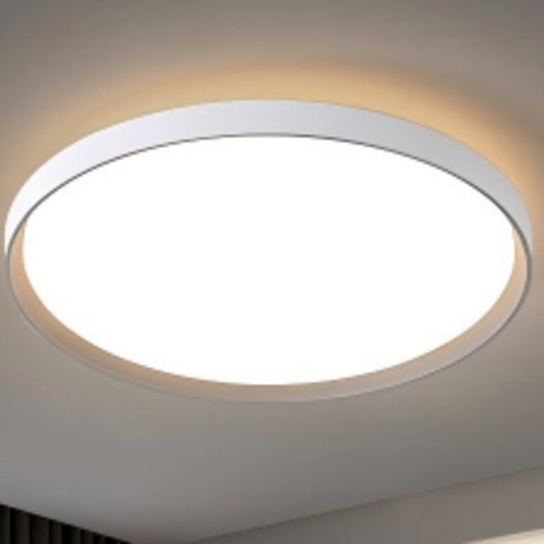 LED Ceiling Light WM-A087 D490H50MM Indoor for bedroom living room