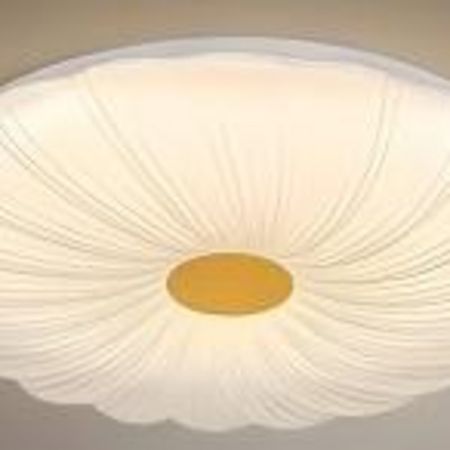 LED Ceiling Light WM-A223 D490H75MM Indoor for bedroom living room
