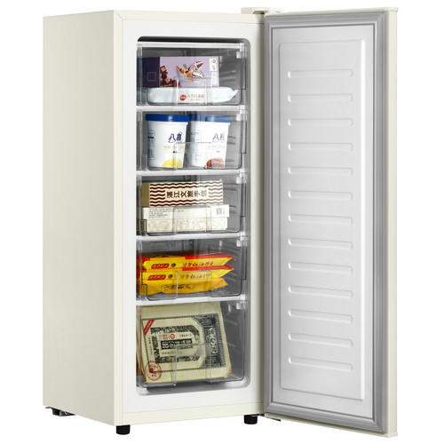Vertical Freezer