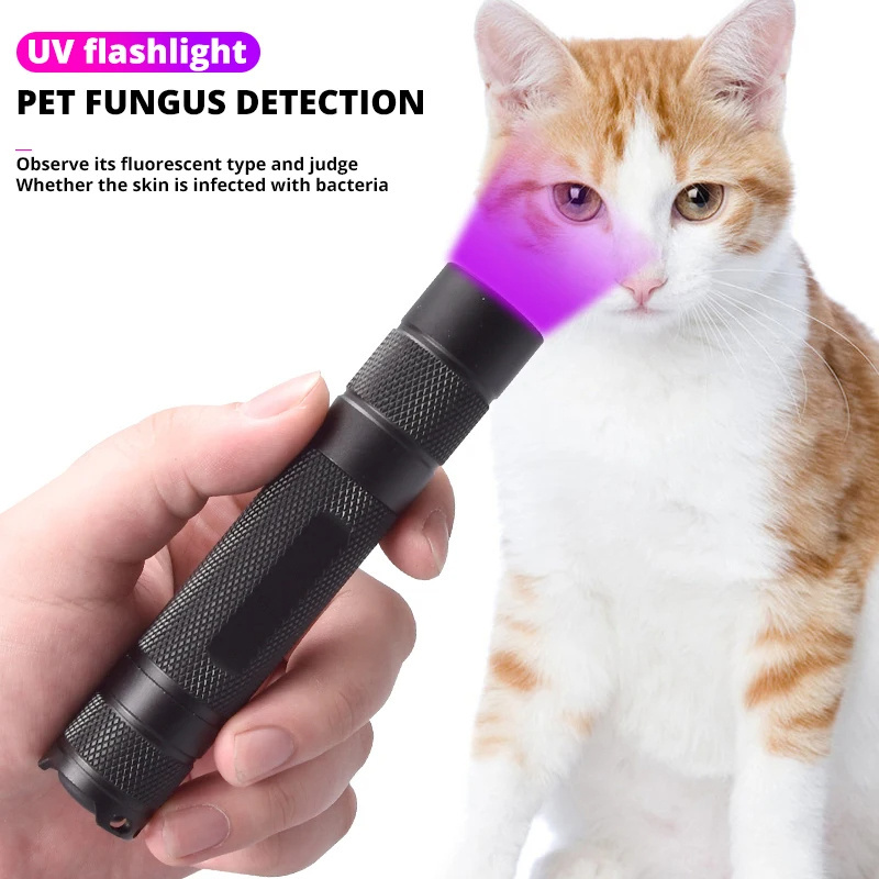 365nm UV Detection Flashlight Ultraviolet Fluorescent Agent Detection Black Mirror Flashlight With Filter