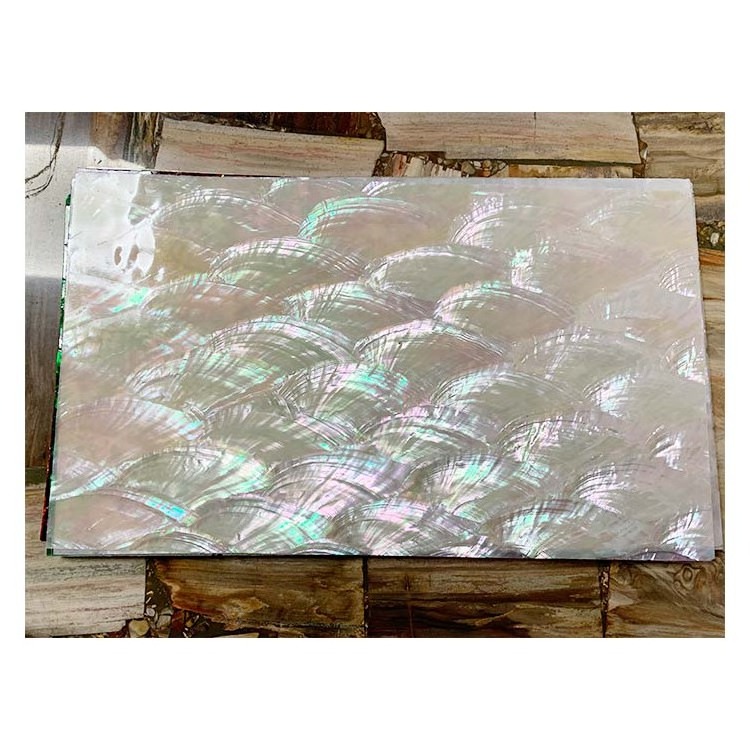 High Quality Natural New Zealand Sea Shell Mother of Pearl Inlay for Wall Decor