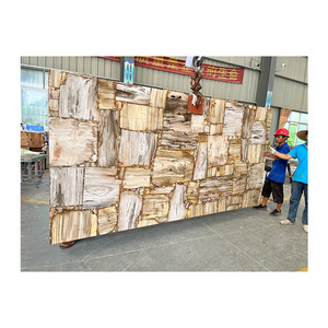 Luxury Club Villa Wall Decoration Semi Precious Stone Petrified Wood Slab