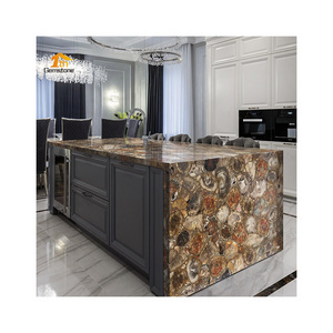 Customize Petrified Wood Island Countertop Fossil Wood Kitchen Counter Top