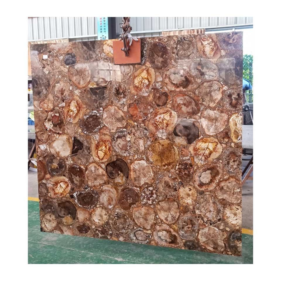 Custom Brown Fossil Gemstone Slabs Petrified Wood Stone Island Countertop