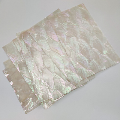 Natural New Zealand Abalone Paper Sea Shells Mother of Pearl Paua Shell Sheets