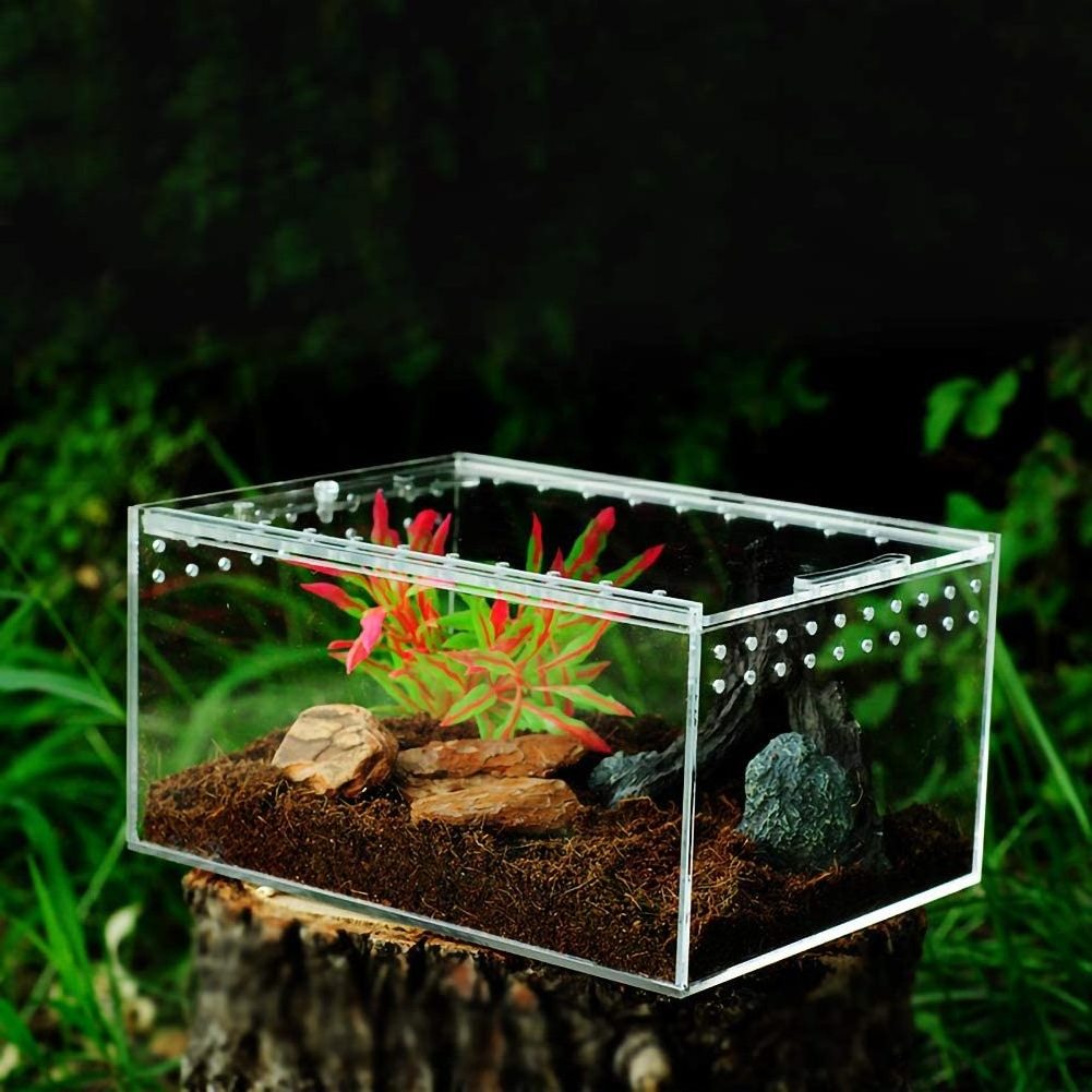 Clear Acrylic Terrarium Box Reptile Amphibian Display Case for Lizard Turtle Lucite Breeding Box