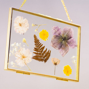 Acrylic Floating Brass Plant Specimen Herbarium Picture Frame Wall Hanging Decor Display Pressed Flower Frames