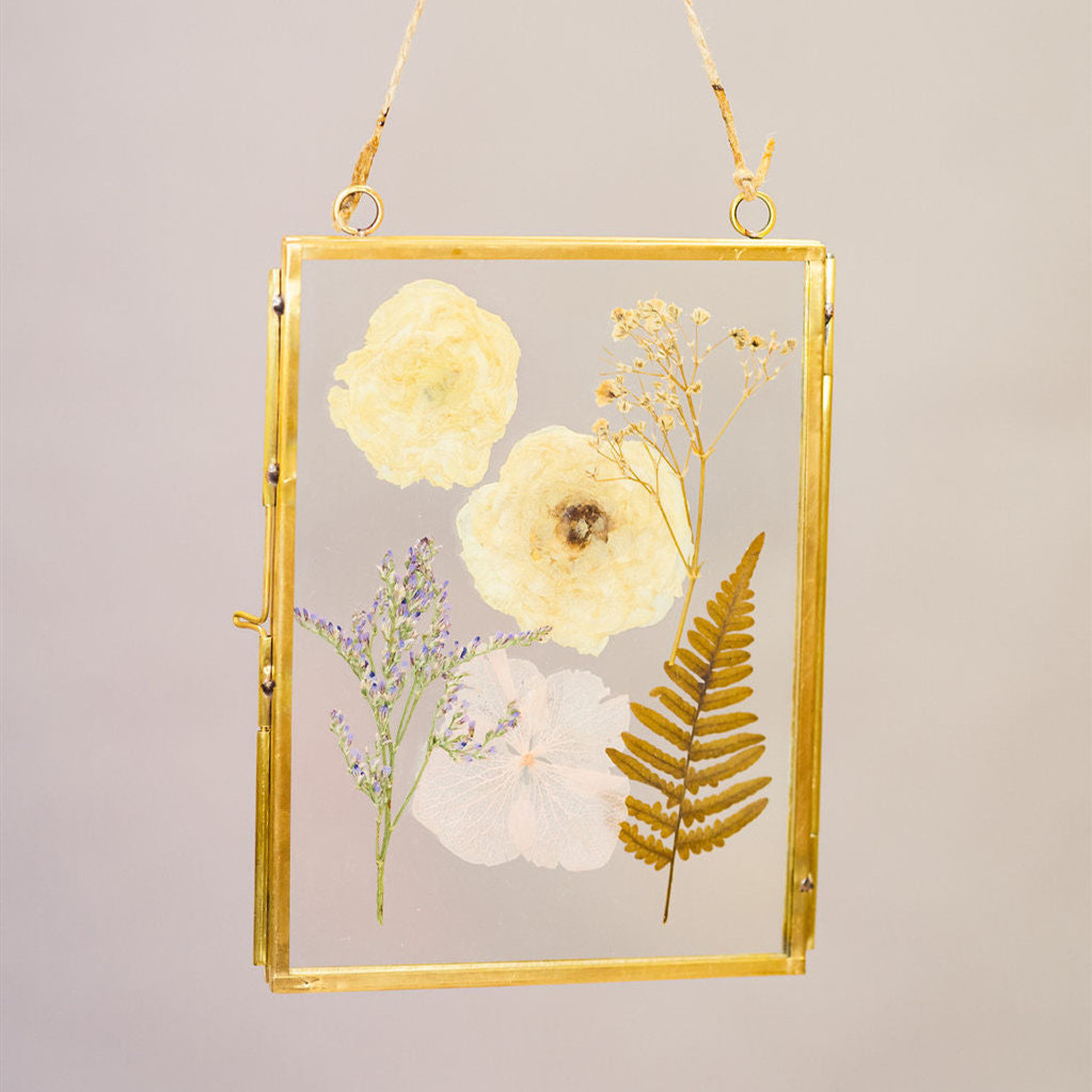 Acrylic Floating Brass Plant Specimen Herbarium Picture Frame Wall Hanging Decor Display Pressed Flower Frames