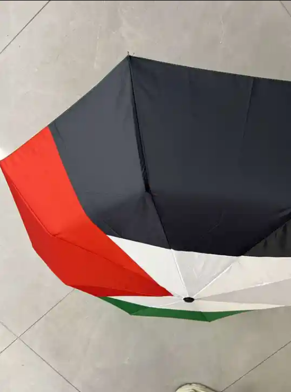 Factory Direct Selling Logo Printing Semi--Automatic Palestine Folding Umbrella Men's Umbrella For Outdoor Activities