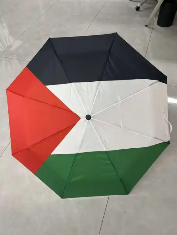 Factory Direct Selling Logo Printing Semi--Automatic Palestine Folding Umbrella Men's Umbrella For Outdoor Activities