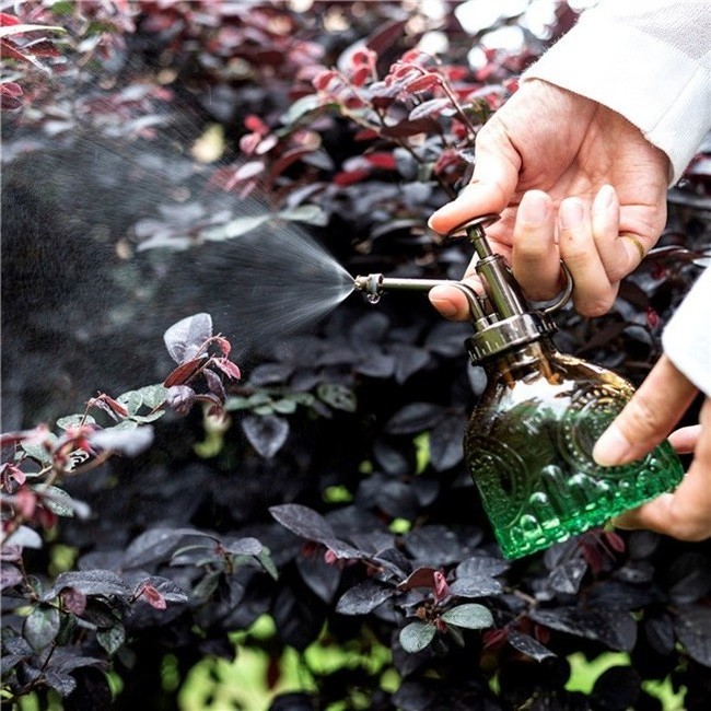 Glass plant Spray bottle Vintage glass spray bottle with top pump small watering can