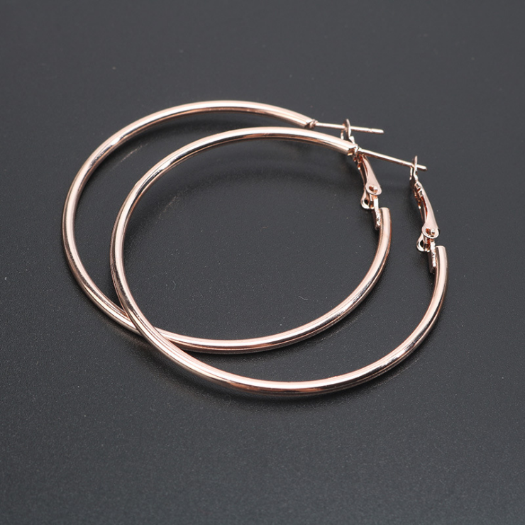 Fashion Gold Plated Stainless Steel Hoop Earrings Wholesale earring jewelry For Women Jewelry