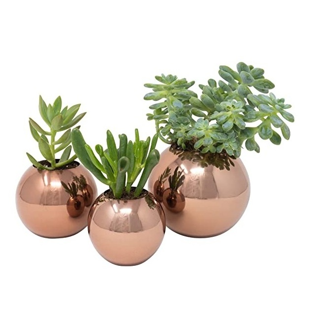 Royal Look Home Living Room Desktop Decoration Flower Pots With Outdoor Indoor Planter Gold Plated Finishing Hot Selling