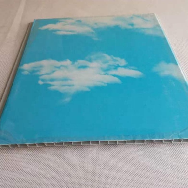 Cost price new ceiling tiles designs pvc roof ceiling panel