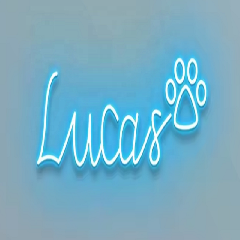 Neon Sign Custom Made Personalized Large Led Neon Lights Signs for Name Wedding Logo Event Wall for Birthday Party Signs