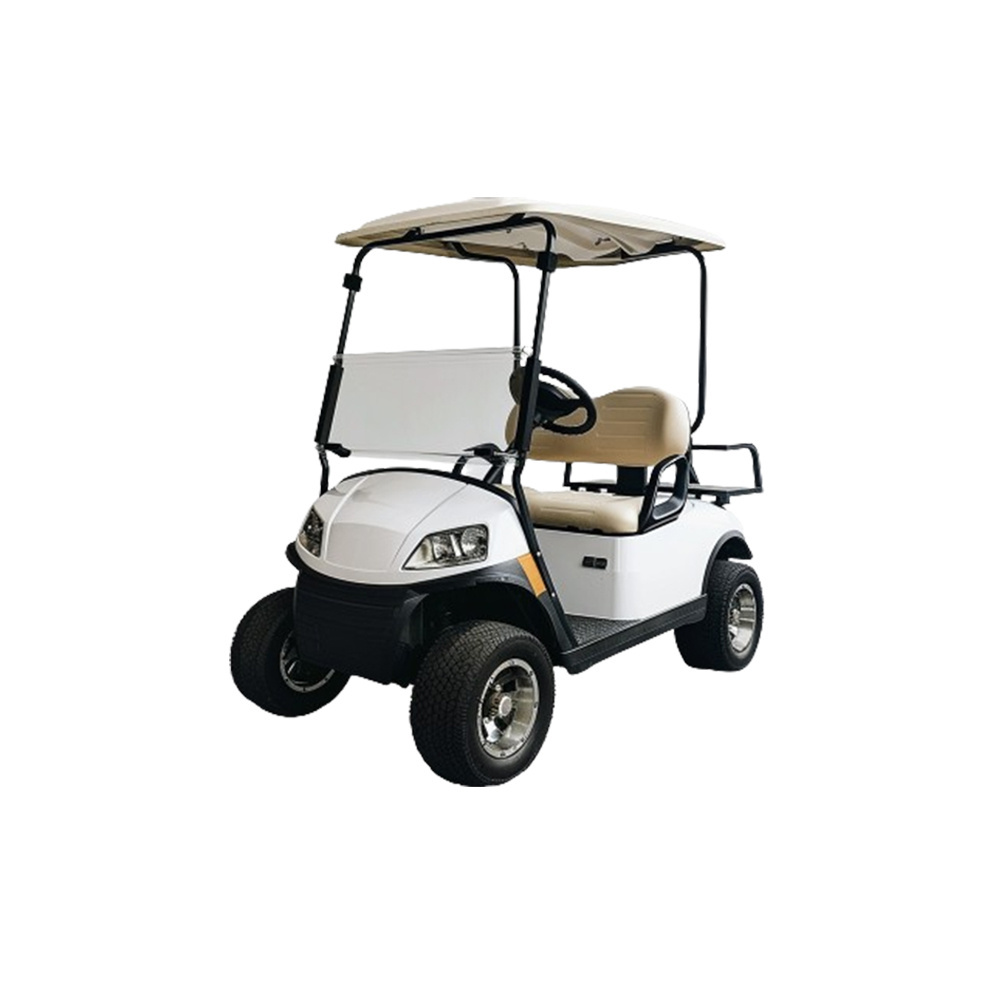 Popular lithium gasoline engine 2 seater small golf cart with 72v