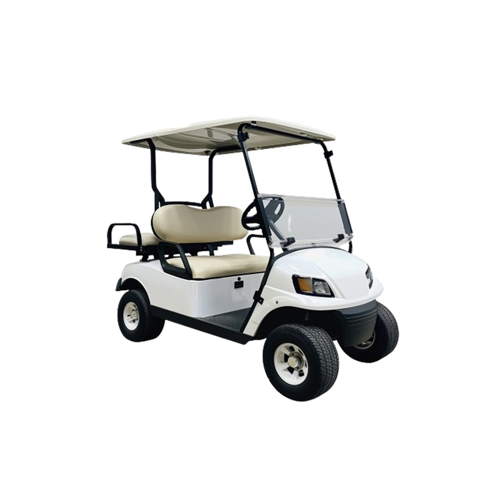 Popular lithium gasoline engine 2 seater small golf cart with 72v