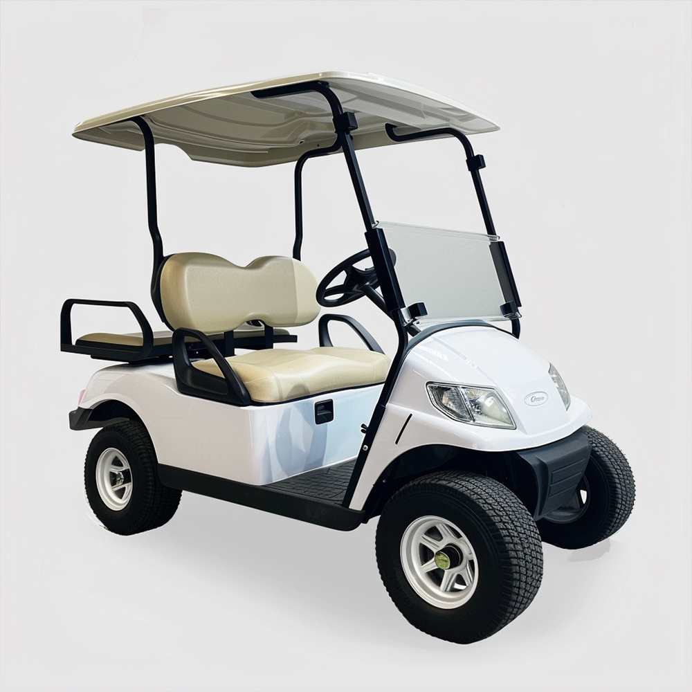 Popular lithium gasoline engine 2 seater small golf cart with 72v