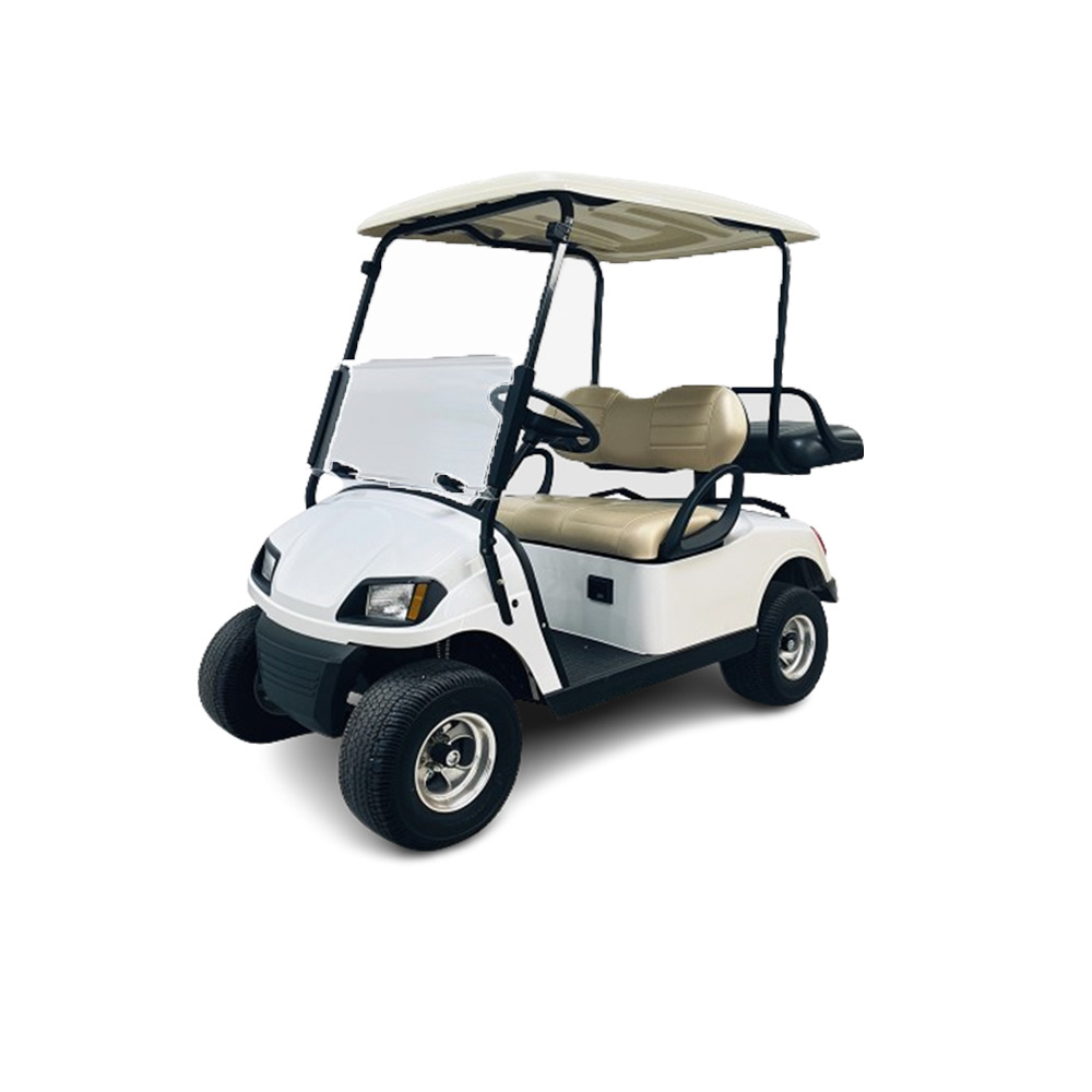 Popular lithium gasoline engine 2 seater small golf cart with 72v