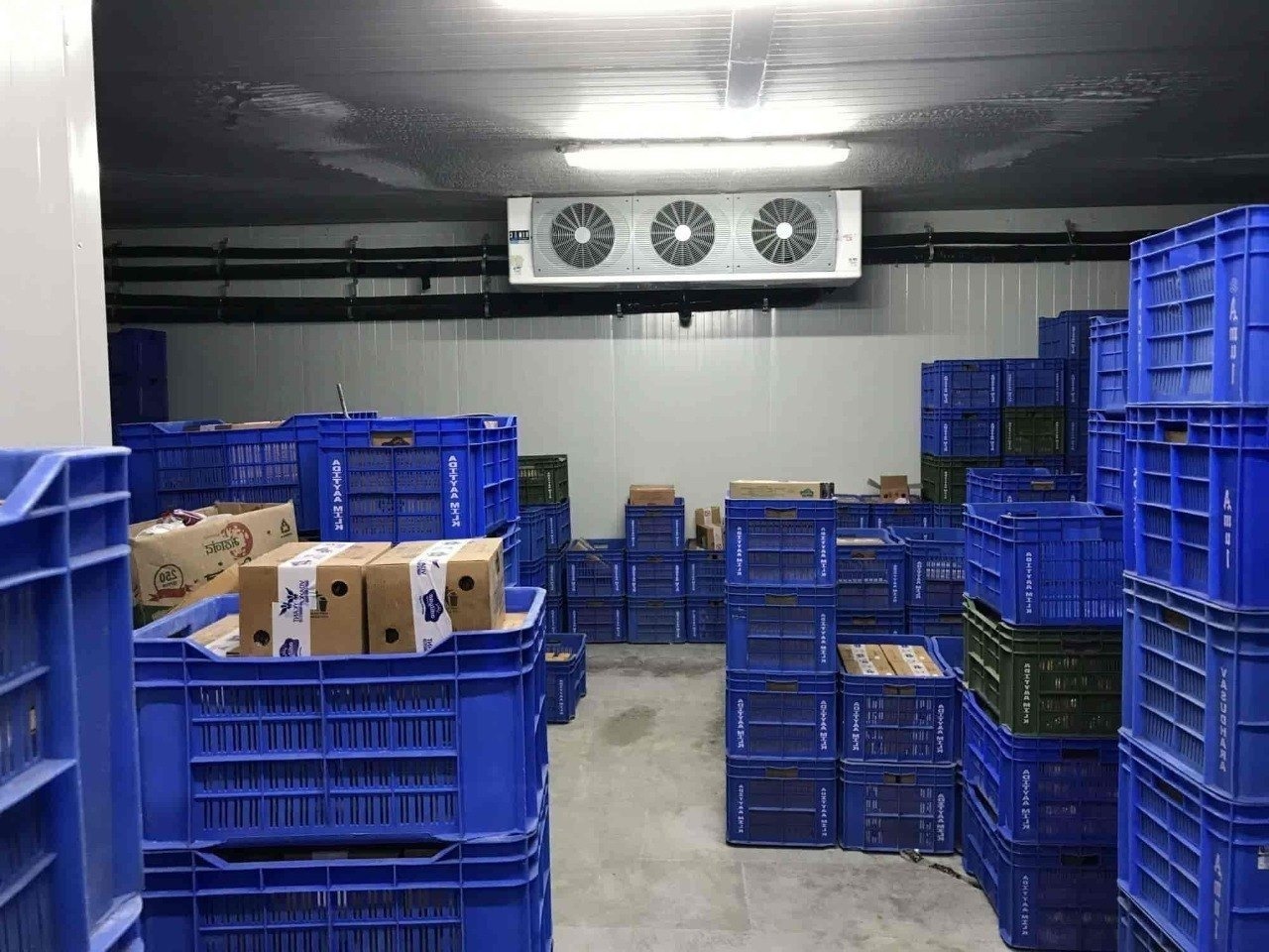 Fully Automatic Customized One-Stop Solution Freezer Container Compressor Insulation Cold Room Storage for Food Fish Meat