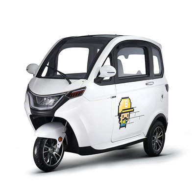 Mini Car 3 Wheel EEC COC Electric Tricycle Car Enclosed Cabin China Factory Price