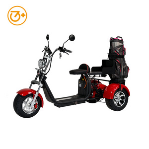 3 Wheels Electric Motorcycle 2000W Citycoco Electric Trike Electric Golf Scooter