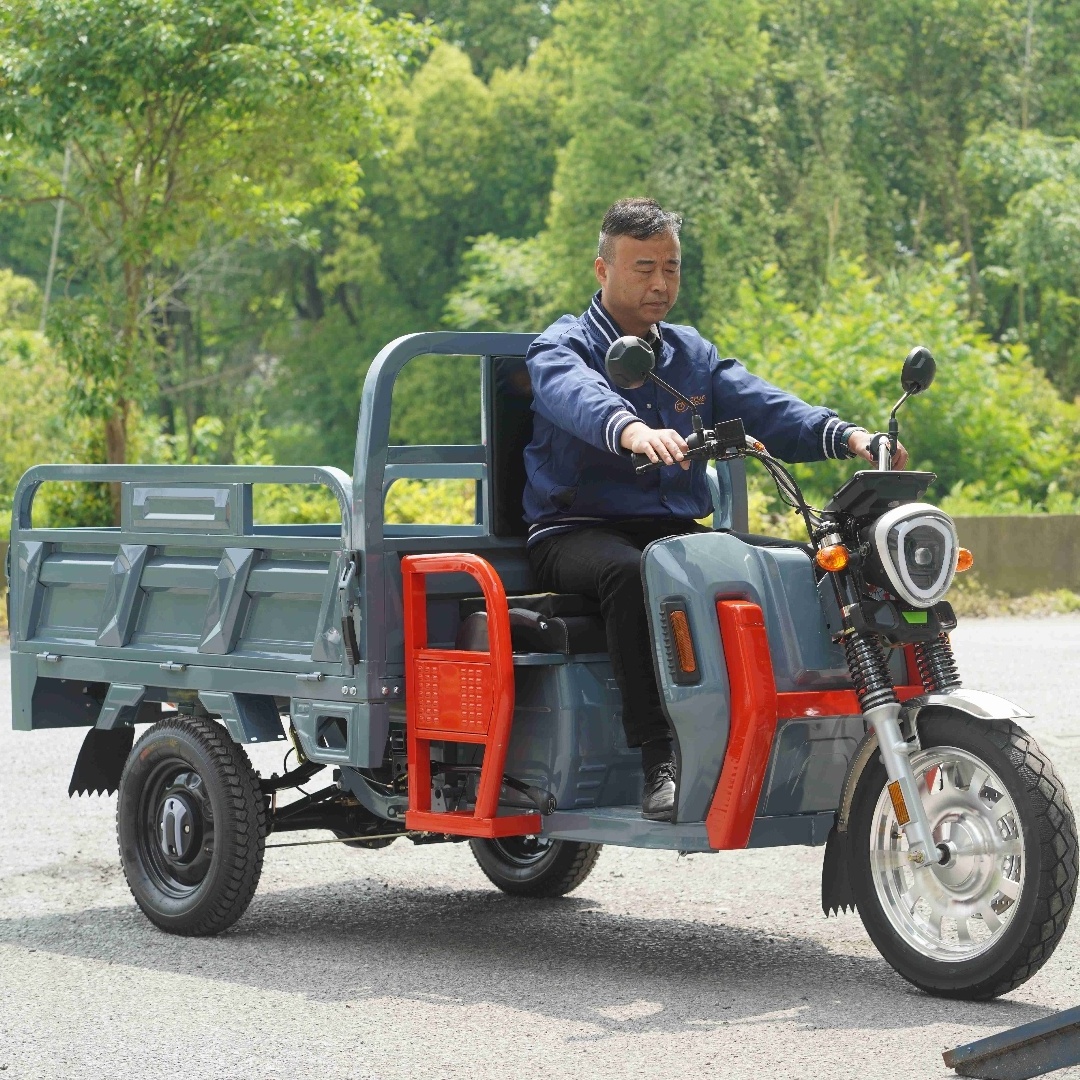 E-Trikes 3 wheel Cargo Electric Tricycles Motorcycle Three Wheel Adult  3000W Tuk Tuk with COC/EEC Dreirad