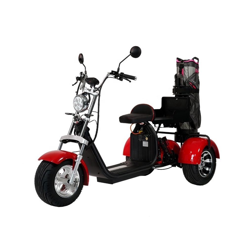 3 Wheels Electric Motorcycle 2000W Citycoco Electric Trike Electric Golf Scooter