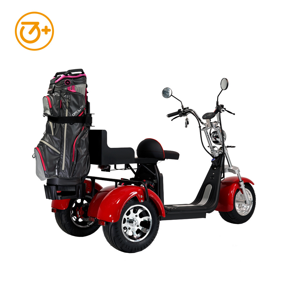 3 Wheels Electric Motorcycle 2000W Citycoco Electric Trike Electric Golf Scooter