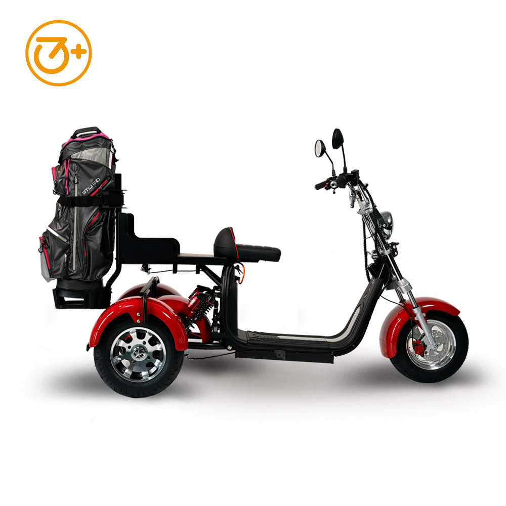 3 Wheels Electric Motorcycle 2000W Citycoco Electric Trike Electric Golf Scooter