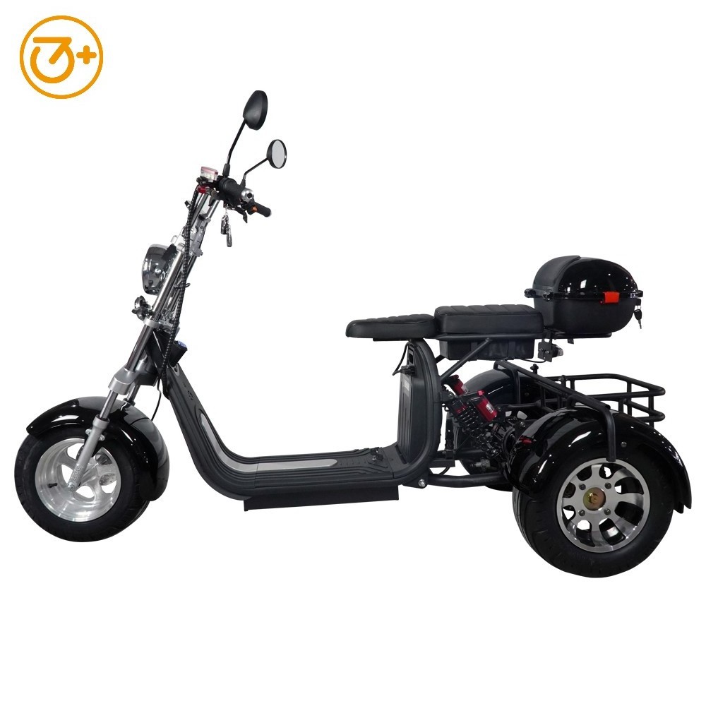 3 Wheels Scooter for Adults 2023 Powerful Citycoco Mobility Electric Scooters