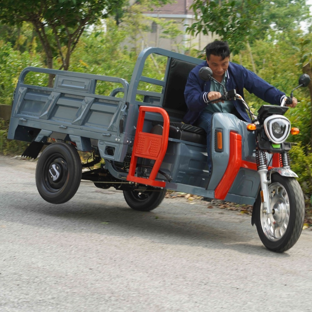 E-Trikes 3 wheel Cargo Electric Tricycles Motorcycle Three Wheel Adult  3000W Tuk Tuk with COC/EEC Dreirad