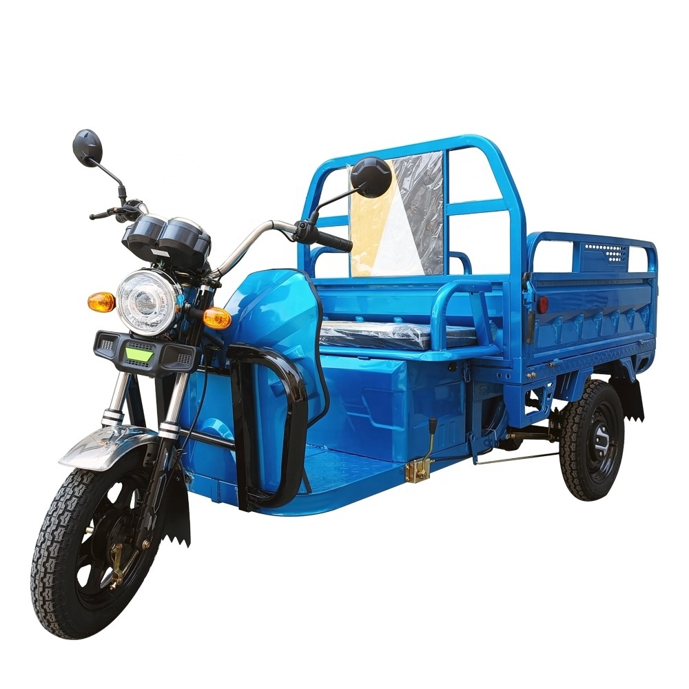 EV Car Factory Wholesale EU EEC COC Powerful Electric Tricycle Mobility Trike With Strong Frame And Loading Capacity