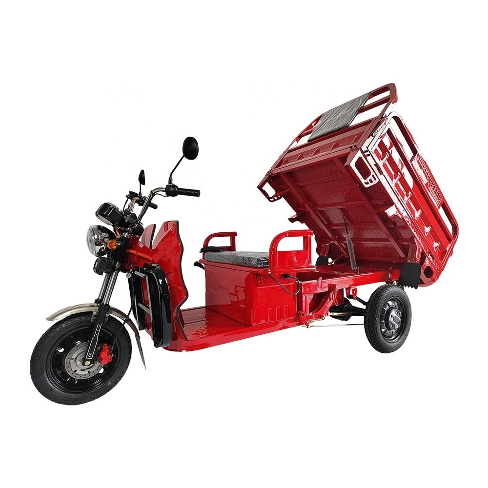 EV Car Factory Wholesale EU EEC COC Powerful Electric Tricycle Mobility Trike With Strong Frame And Loading Capacity