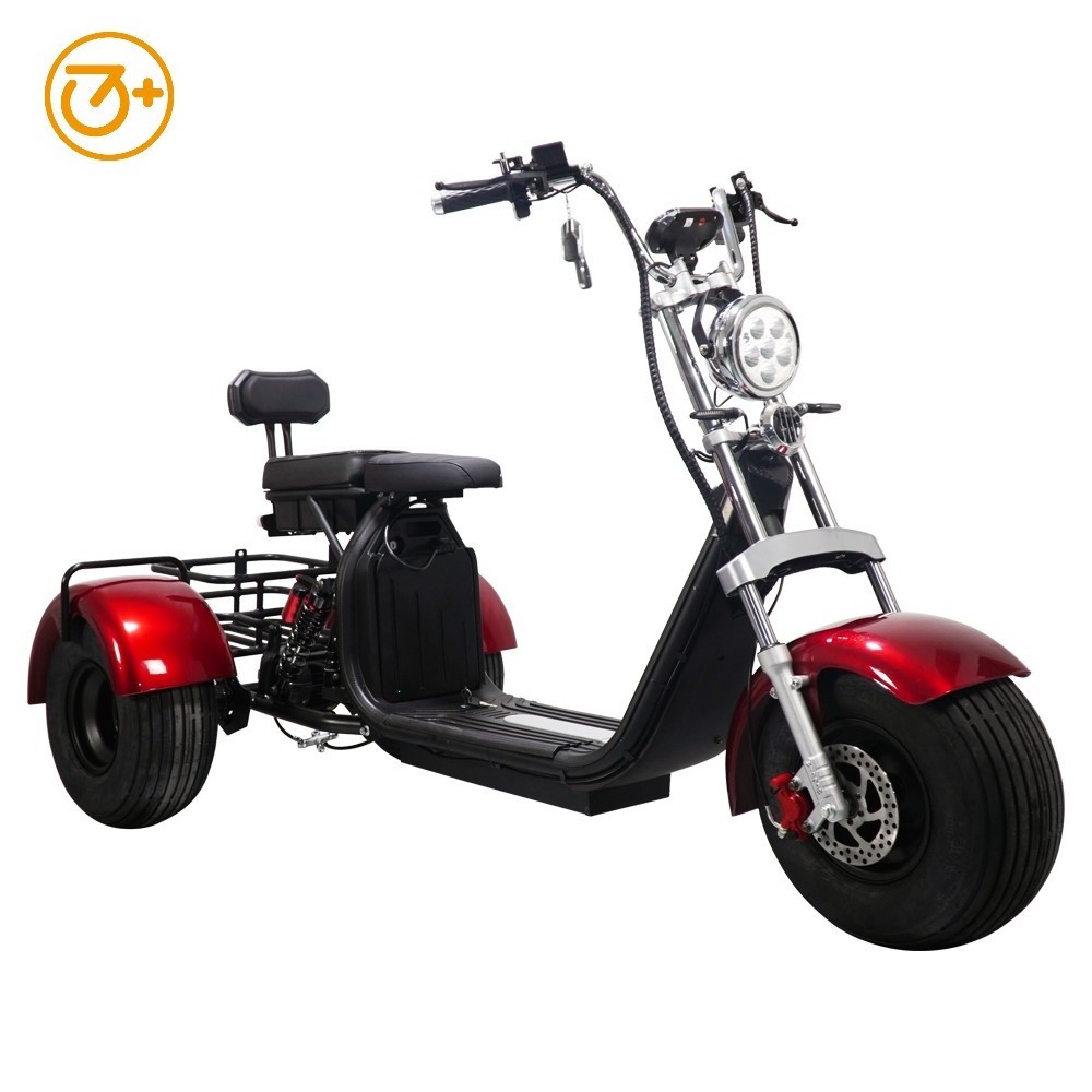 3 Wheels Scooter for Adults 2023 Powerful Citycoco Mobility Electric Scooters