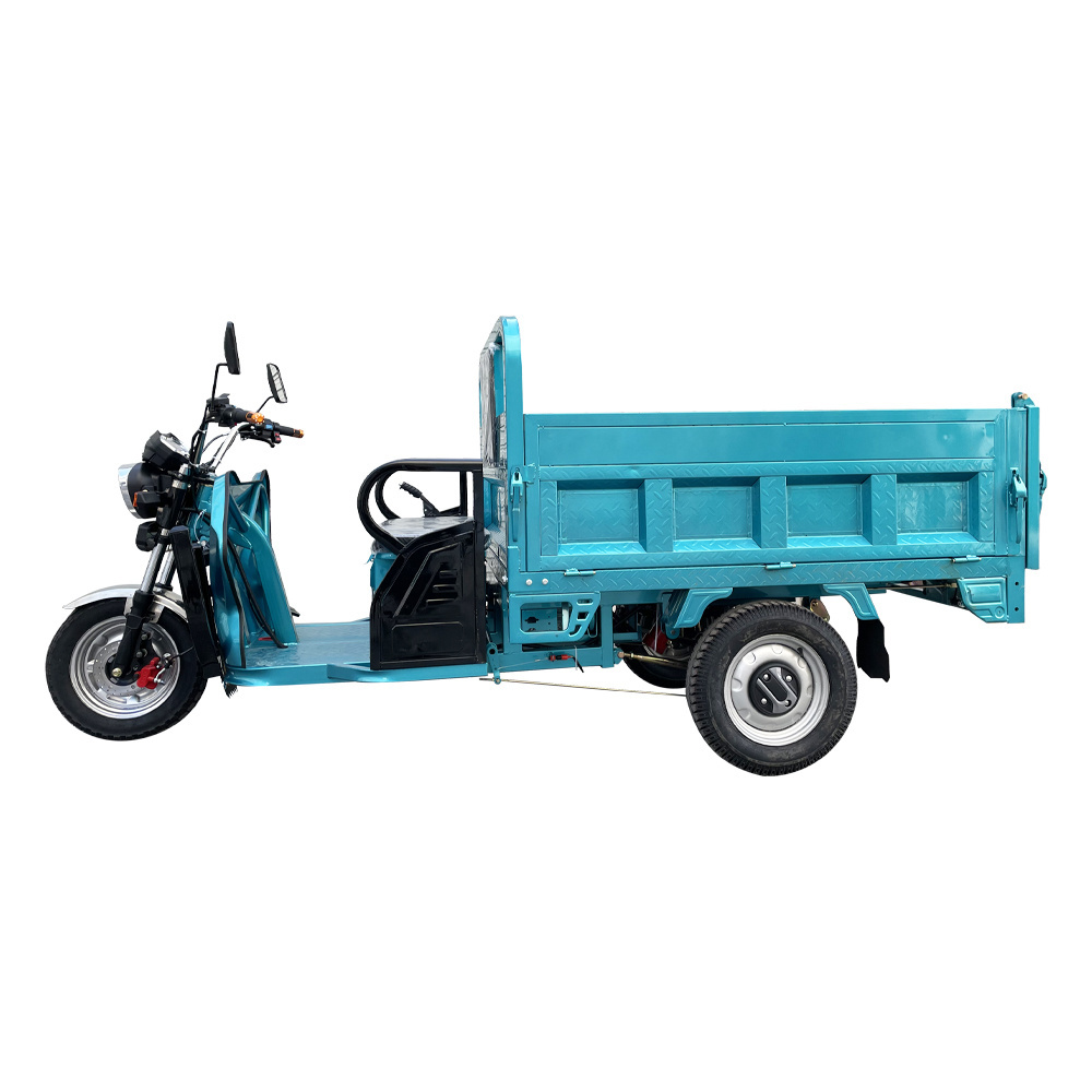 Adult Tricycles 3 Wheel Electric Mobility Scooter Electric Tricycle Cargo