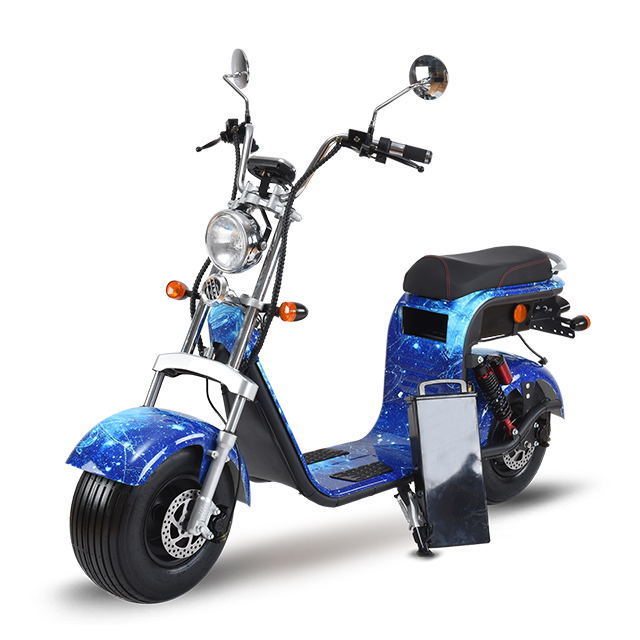 2024 Euro EEC COC Electric Scooter Holland Warehouse Citycoco Electric For Adult