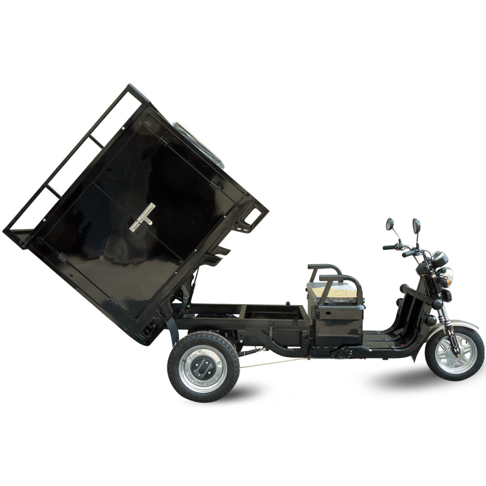 Three Wheel Disc Brake EEC COC Certificate Electric Tricycles Cargo Bike Enclosed Cover Carriage Wholesale Price