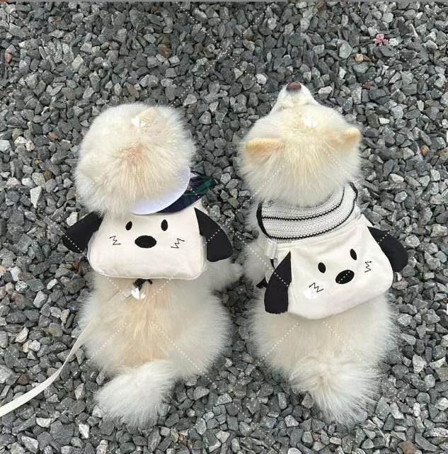 Pet products manufacturers direct sales cat go out bag cute small and medium-sized teddy Bichon bear dog backpack