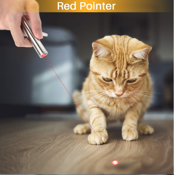 Wholesale Mini Multifunction LED Light Portable pointer UV USB Rechargeable Flashlight cat laser toy