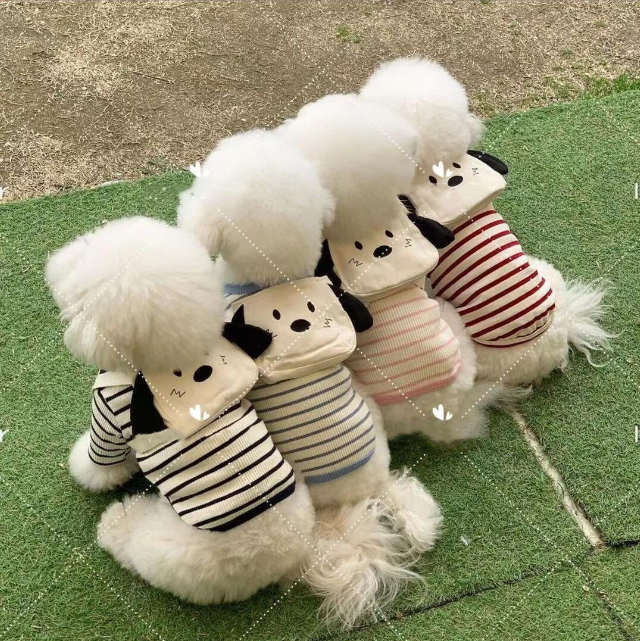 Pet products manufacturers direct sales cat go out bag cute small and medium-sized teddy Bichon bear dog backpack