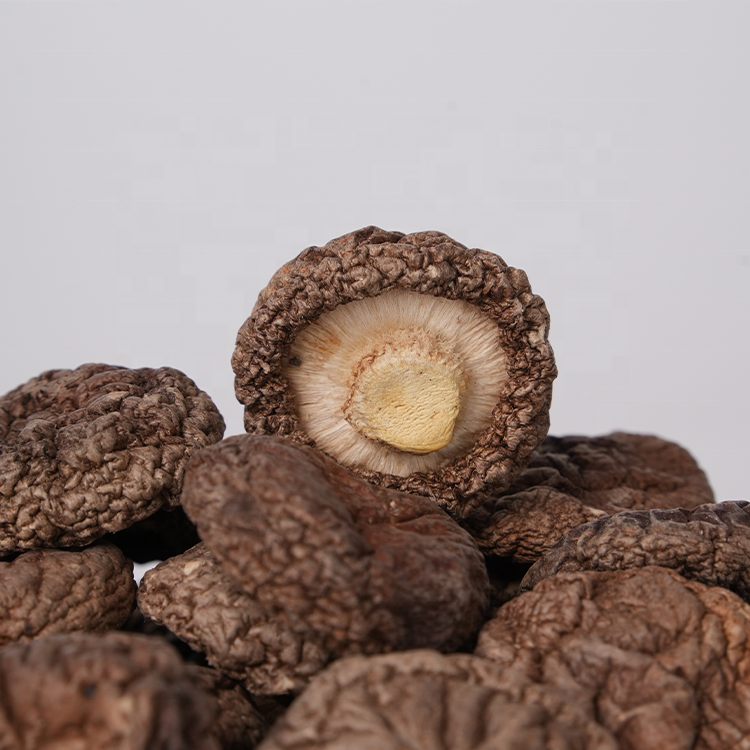 Bulk Wholesale High Quality Dried Xianggu mushroom Chinese Shiitake Mushroom