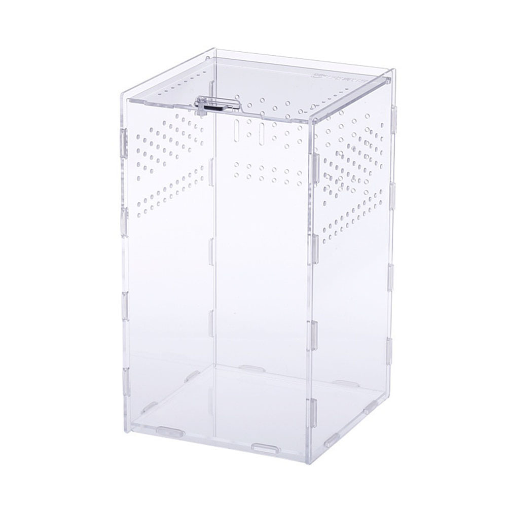 transparent acrylic reptile feeding terrarium insect tarantula enclosure tank mini critter keeper insect carrier habitat cage