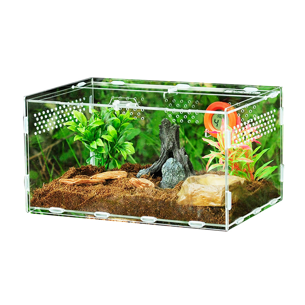 transparent acrylic reptile feeding terrarium insect tarantula enclosure tank mini critter keeper insect carrier habitat cage