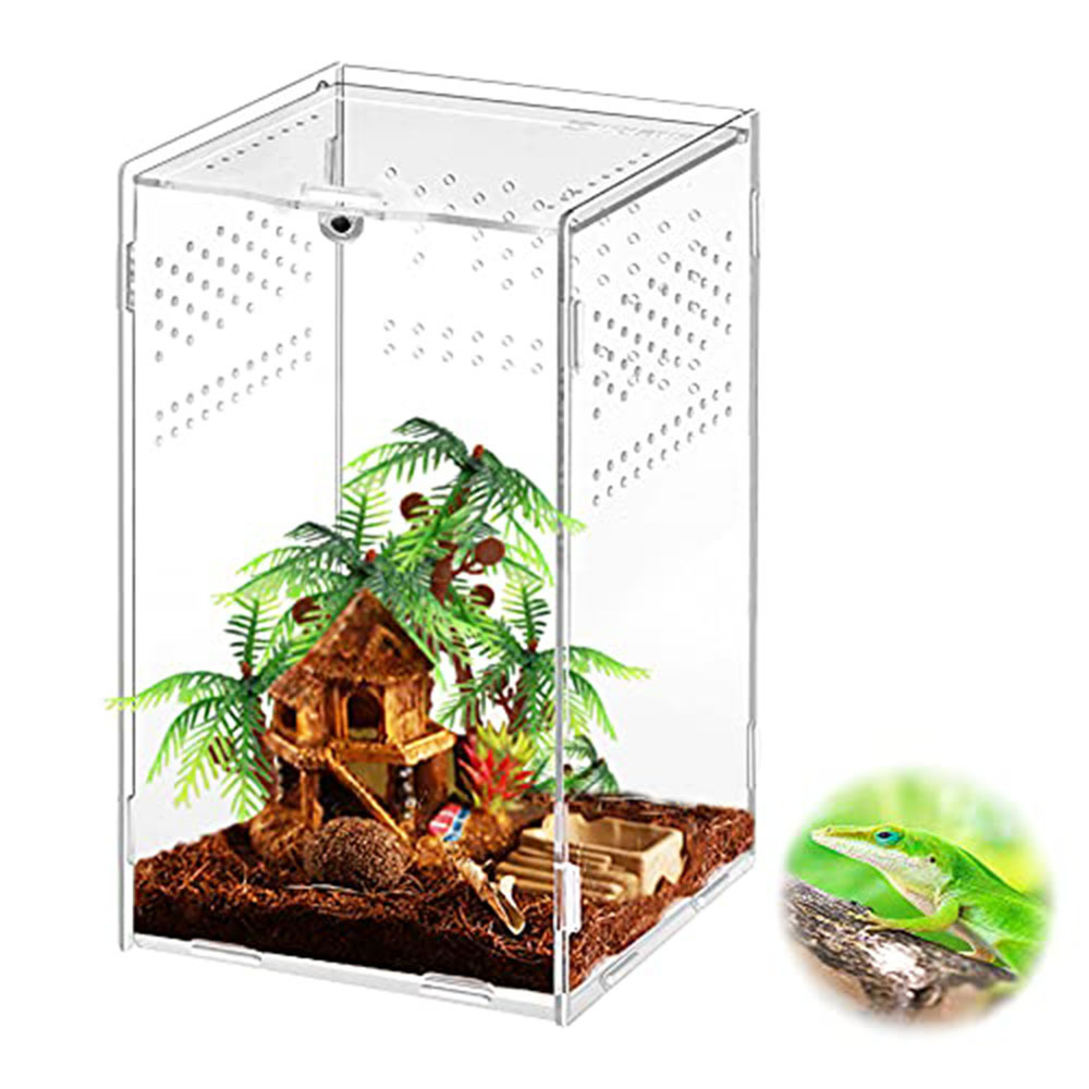 transparent acrylic reptile feeding terrarium insect tarantula enclosure tank mini critter keeper insect carrier habitat cage