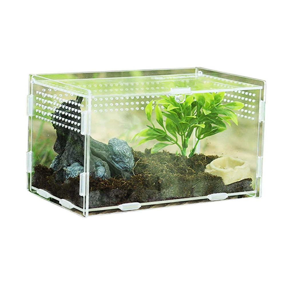 insects supplies clear acrylic feeding box climbing pet breeding habitat cage reptile terrarium display case