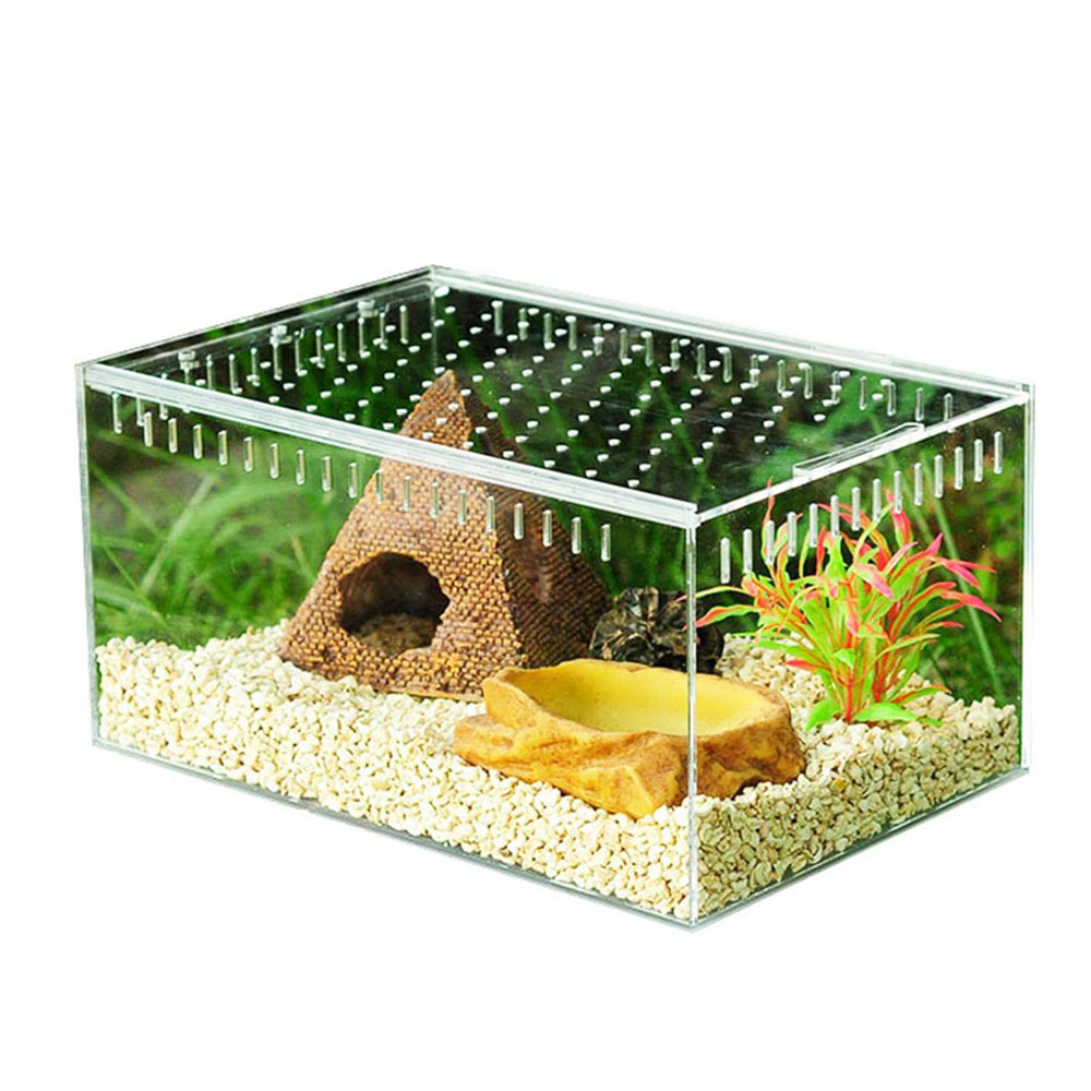 insects supplies clear acrylic feeding box climbing pet breeding habitat cage reptile terrarium display case