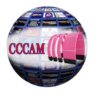 Stable Egygold Cccam Cline 8 Lines for Poland Germany UK Slovakia Italy Netherlands Satellite TV Receiver Free Test