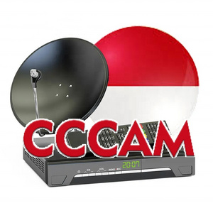 EgyGold CCCam 8 Lines for UK Poland Germany Slovakia Czech Republic Italy Austria stable Satellite ICam Oscam Europe CCCAM Cline